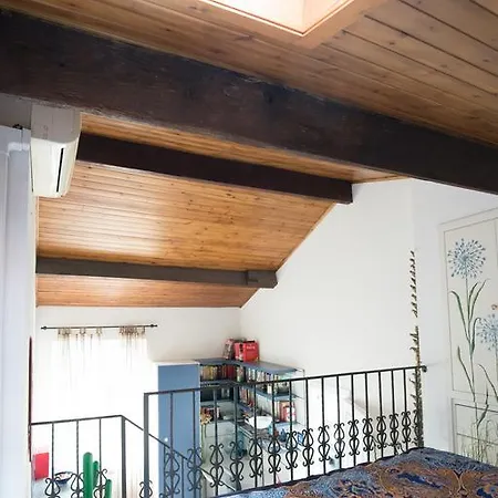 Della Piazza * レヴァント